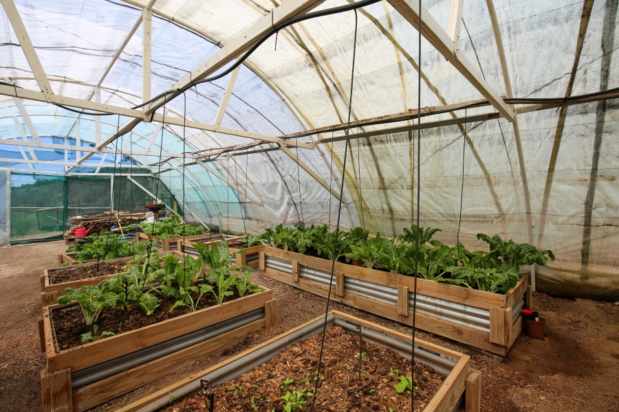 3 Bedroom Property for Sale in Plettenberg Bay Rural Western Cape